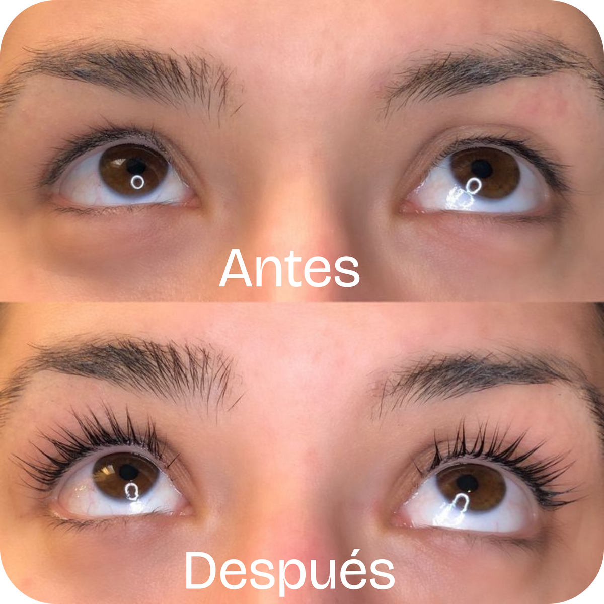 SERUM BIOAQUA CRECIMIENTO DE PESTAÑAS