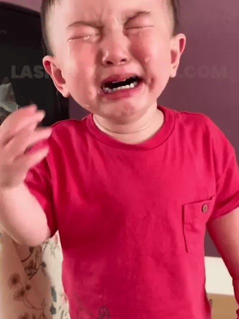 Robot Interactivo Bailarín